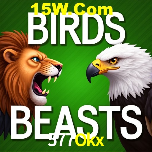 577Okx Salvador - Studio Tour